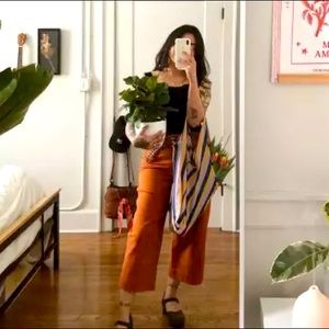 Madewell Emmet Crop Slim Wide Leg Terracotta Pant